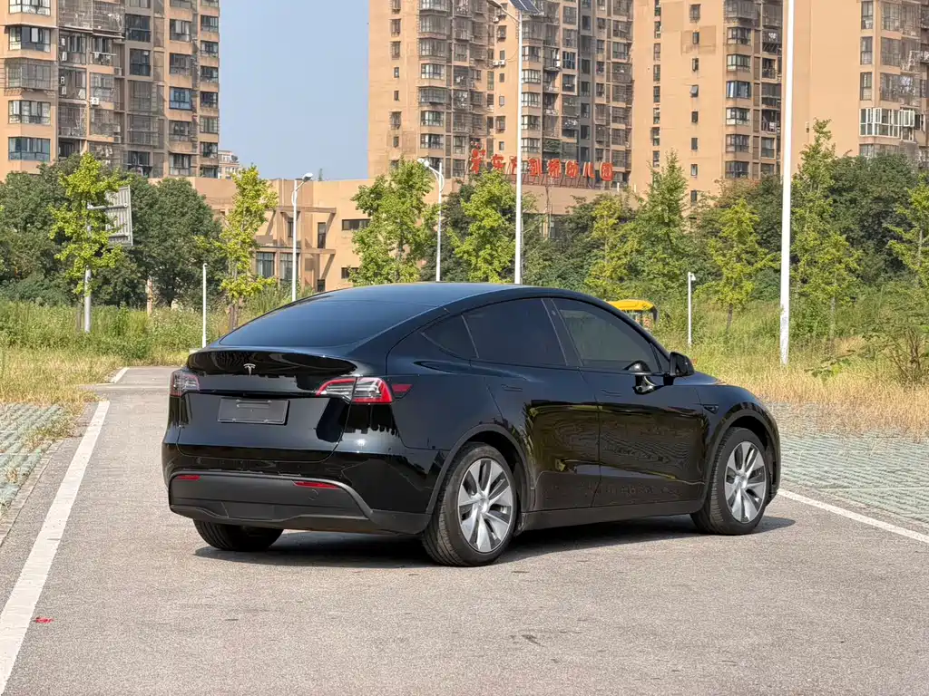 Tesla Model Y — миниатюра 3