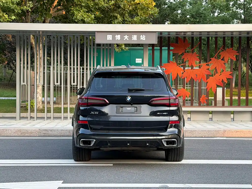 BMW X5 (Import) — миниатюра 8