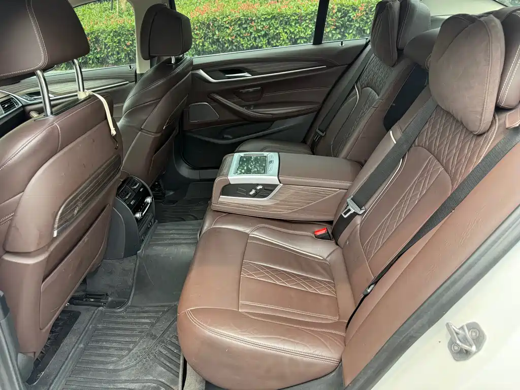 BMW 5 Series 5 2020 530Li Premium Luxury