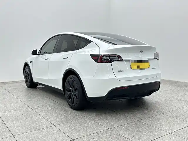 Tesla Model Y — миниатюра 4
