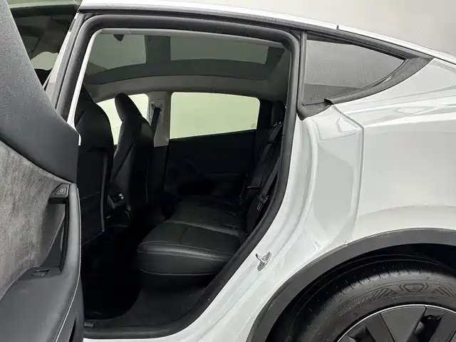 Tesla Model Y — миниатюра 13