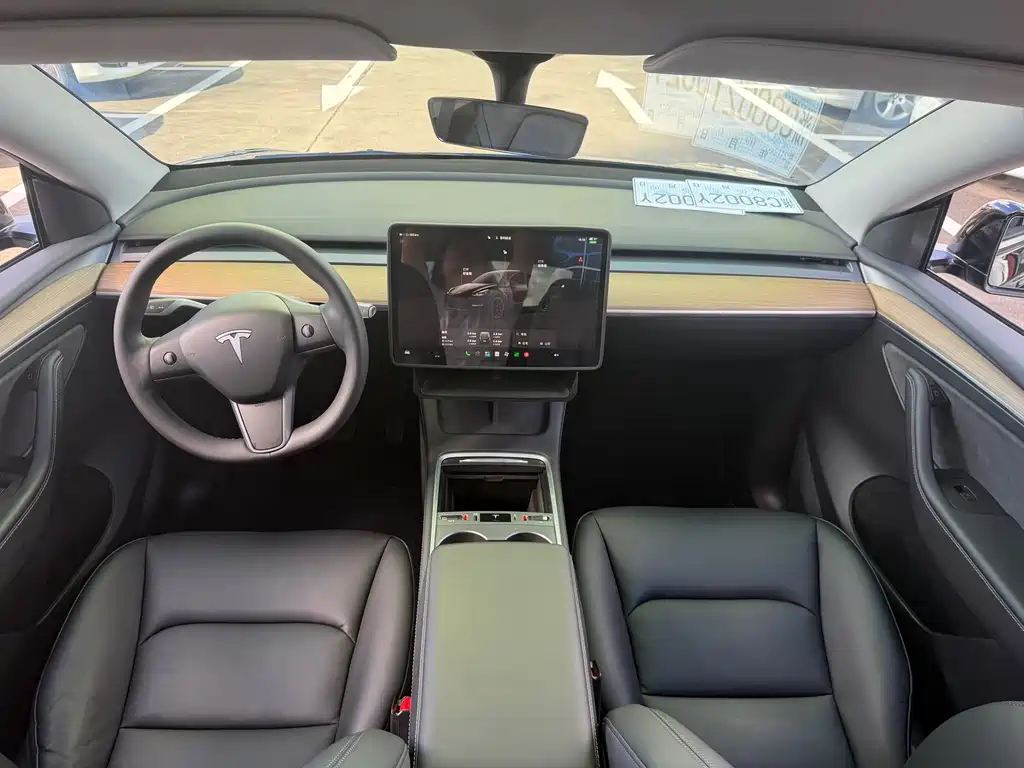 Tesla Model Y — миниатюра 6