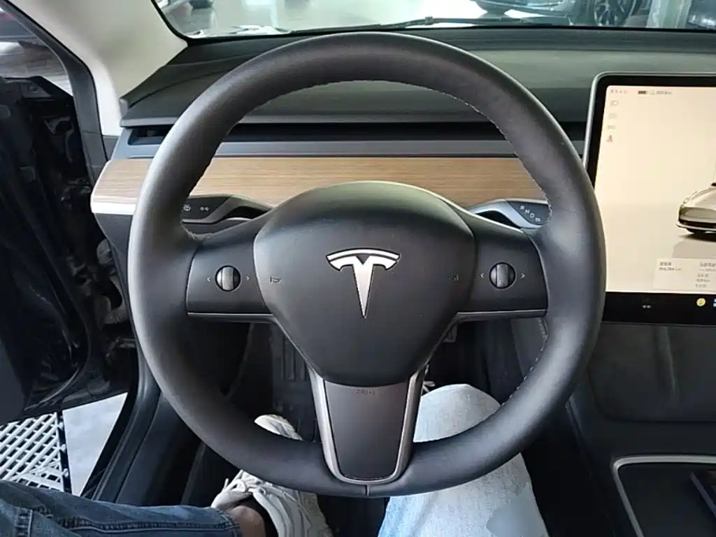 Tesla Model 3 — миниатюра 11