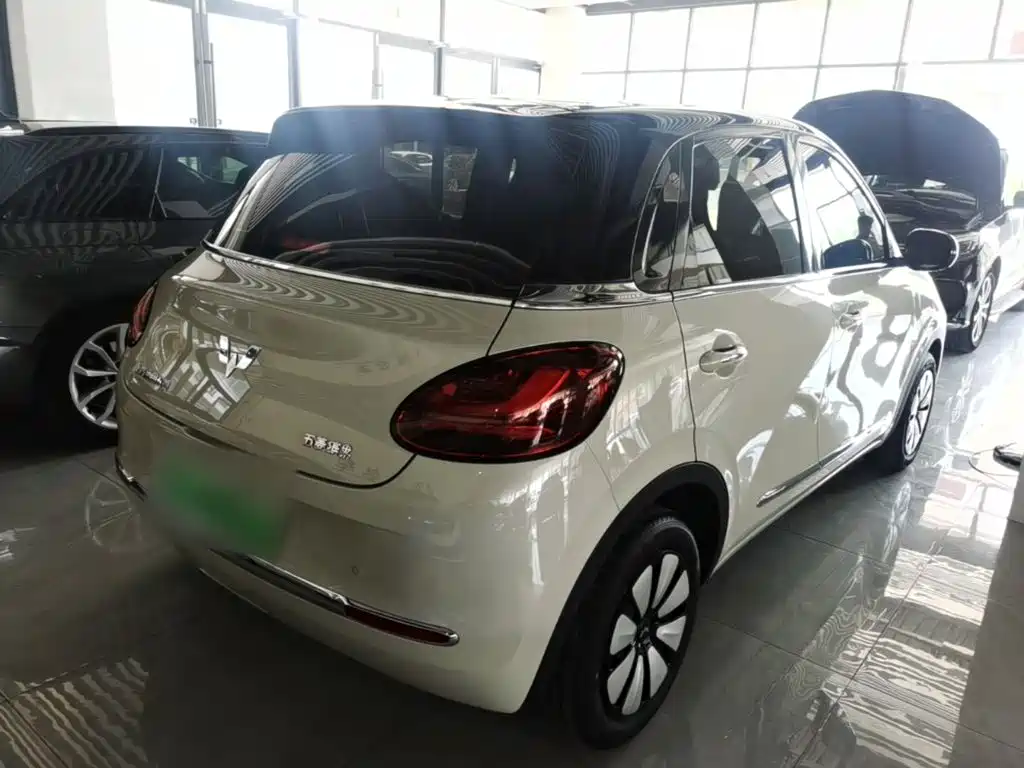 Wuling Binguo 2024 333km Enjoy