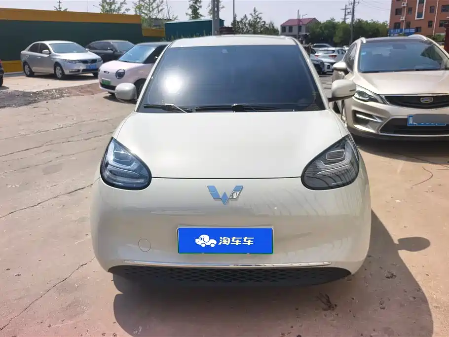 Wuling Binguo 2024 333km Enjoy