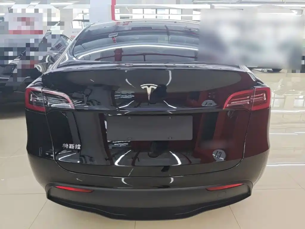 Tesla Model Y — миниатюра 6