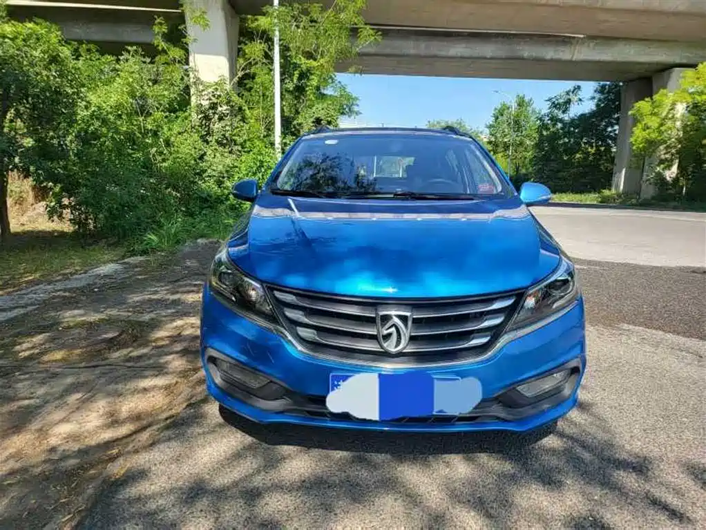 BAOJUN 310