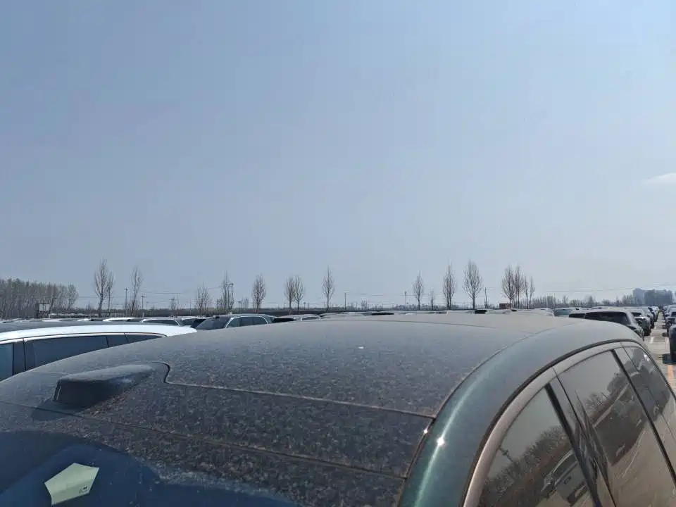Li Auto Li L9 — миниатюра 5