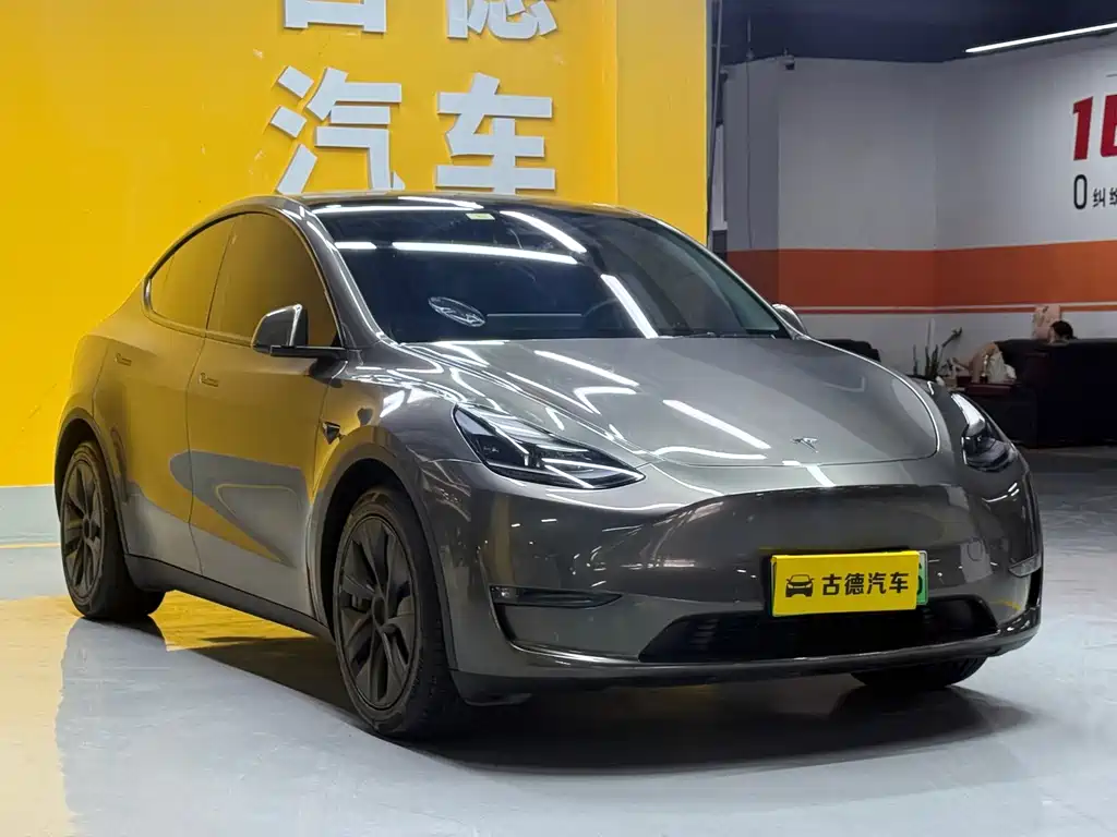 Tesla Model Y — миниатюра 3