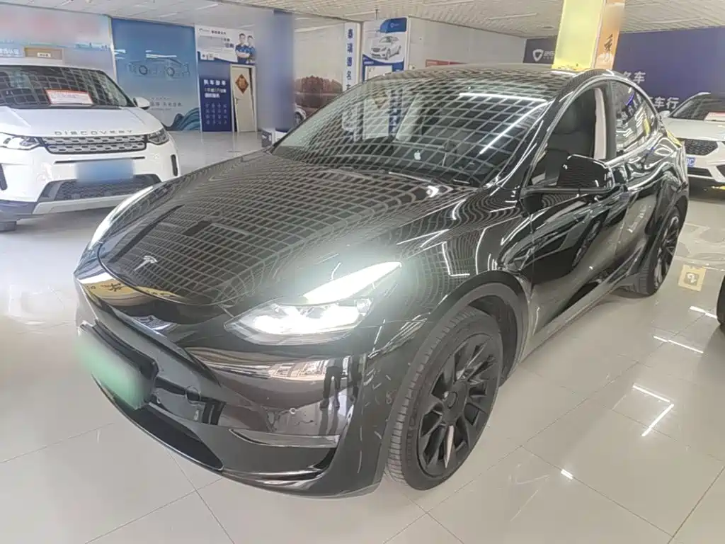 Tesla Model Y — миниатюра 2