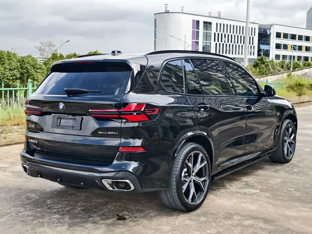 BMW X5 — миниатюра 8