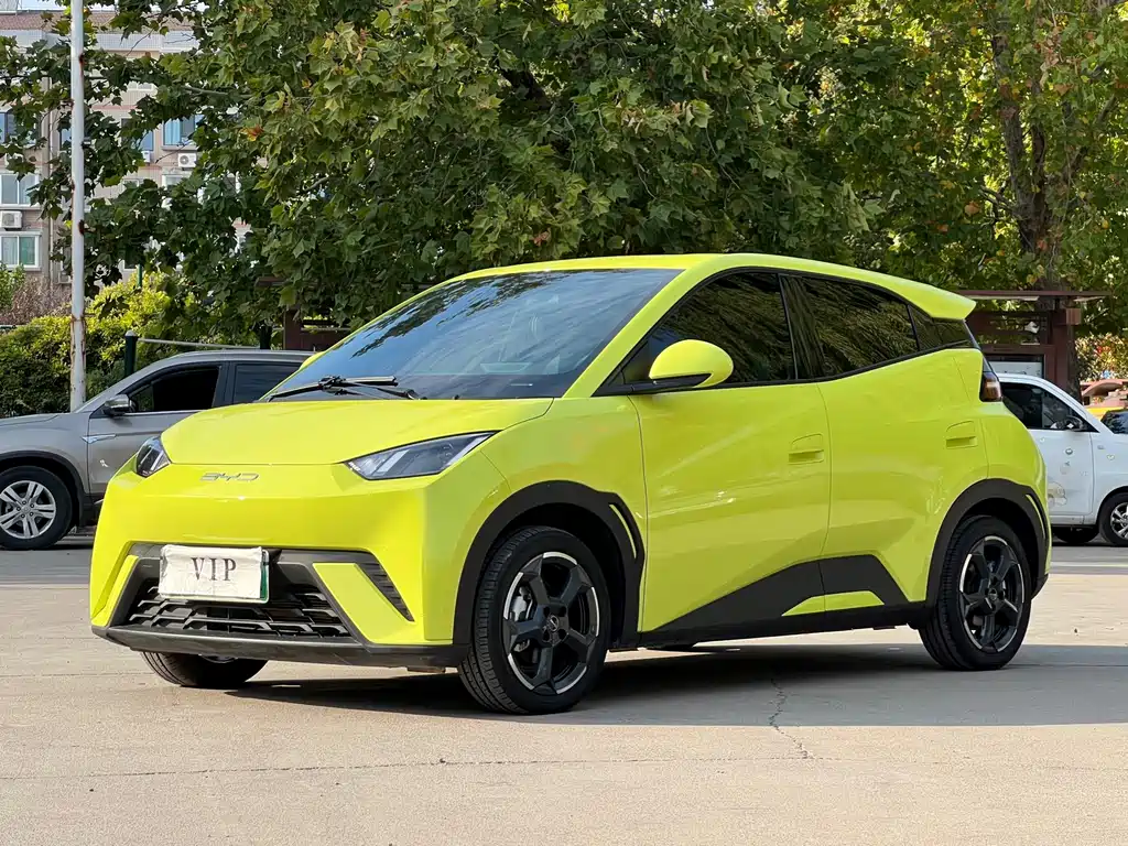 BYD Seagull