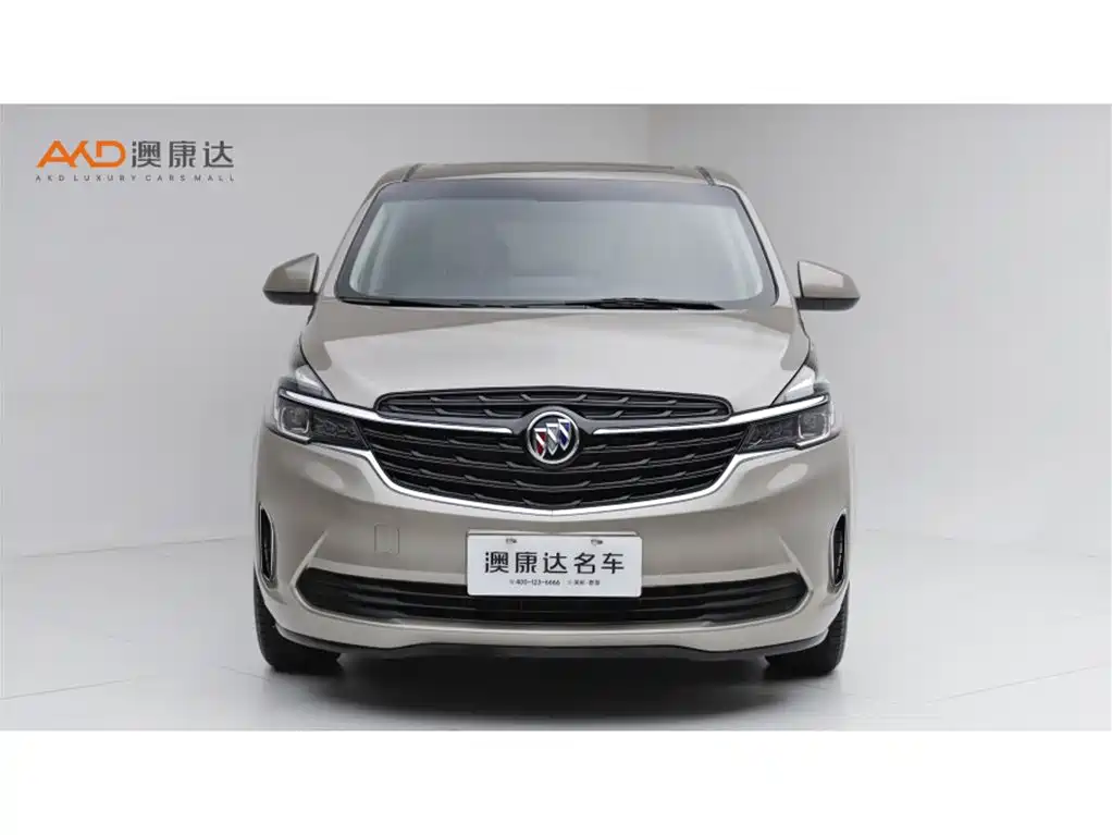 Buick GL8 — миниатюра 2