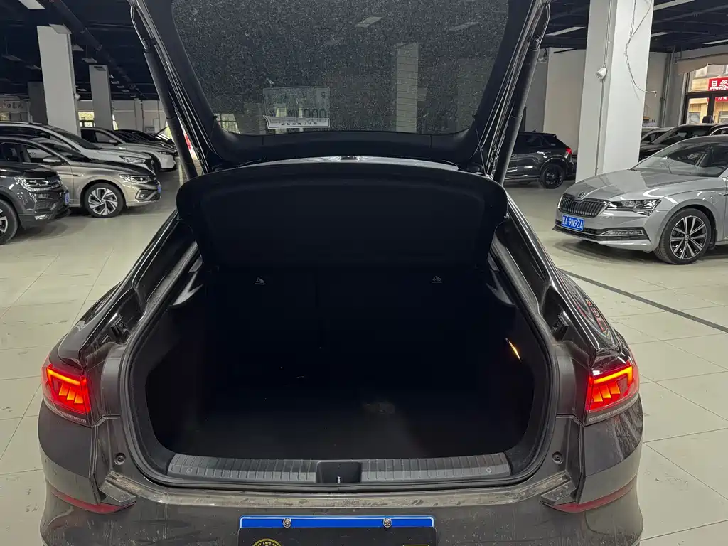 Volkswagen Lamando — миниатюра 10