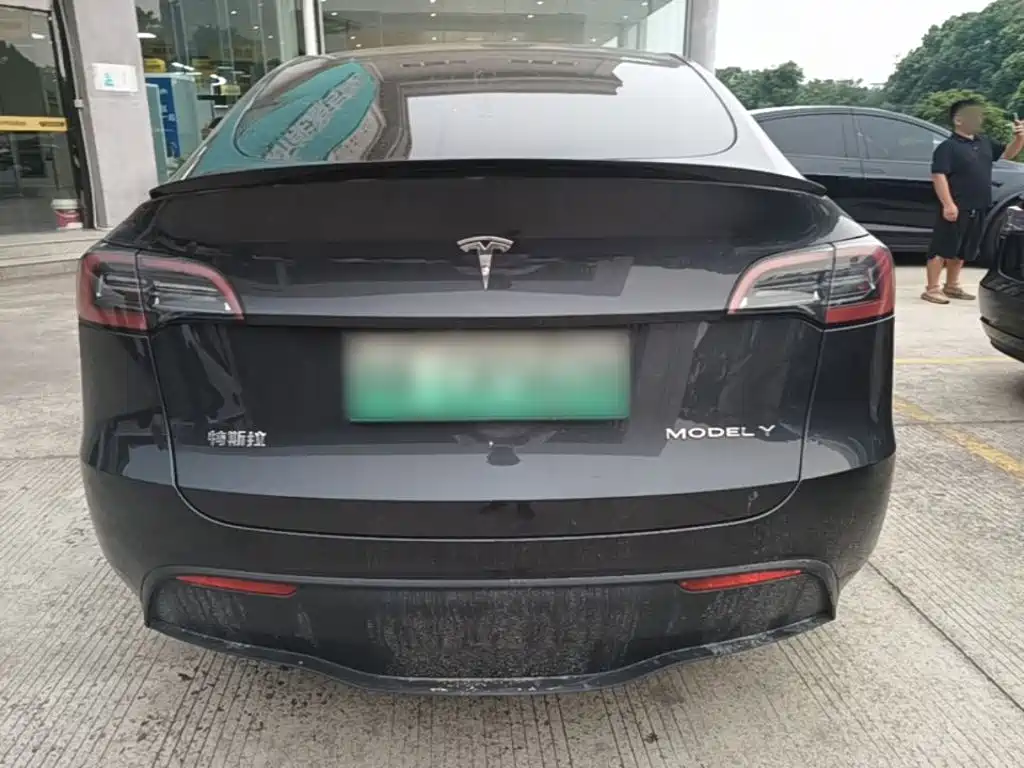 Tesla Model Y — миниатюра 6
