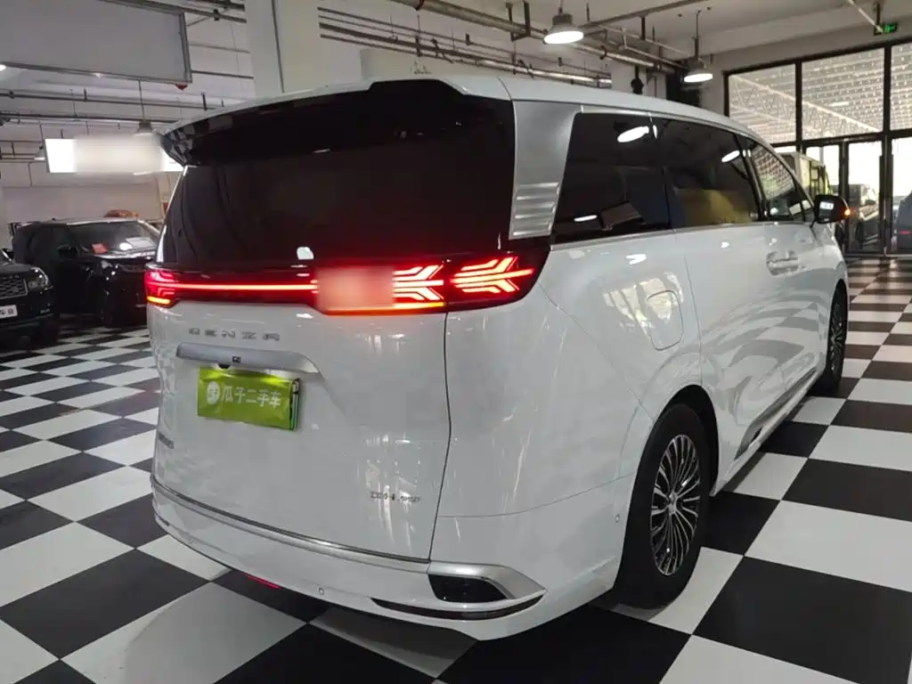 Denza Denza D9 — миниатюра 7
