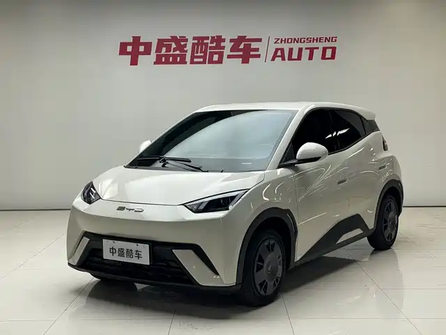2024 BYD Seagull