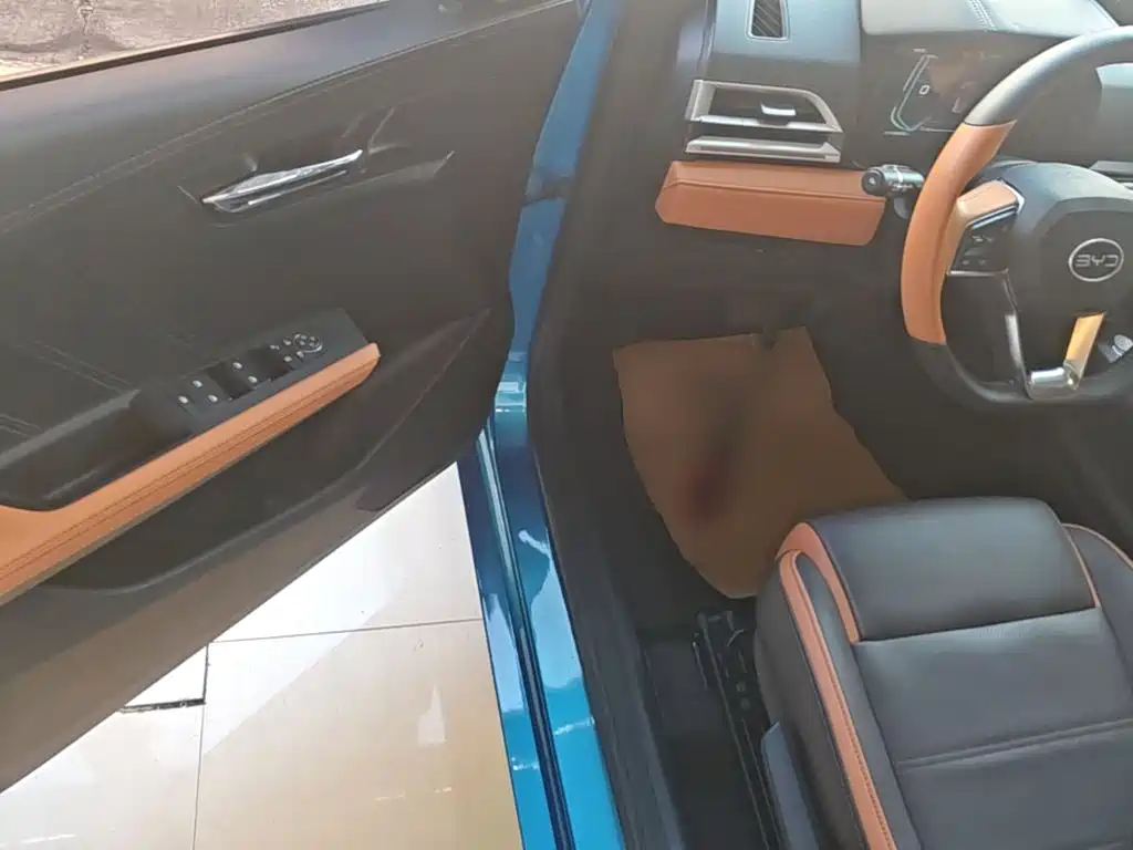 BYD e2 — миниатюра 16