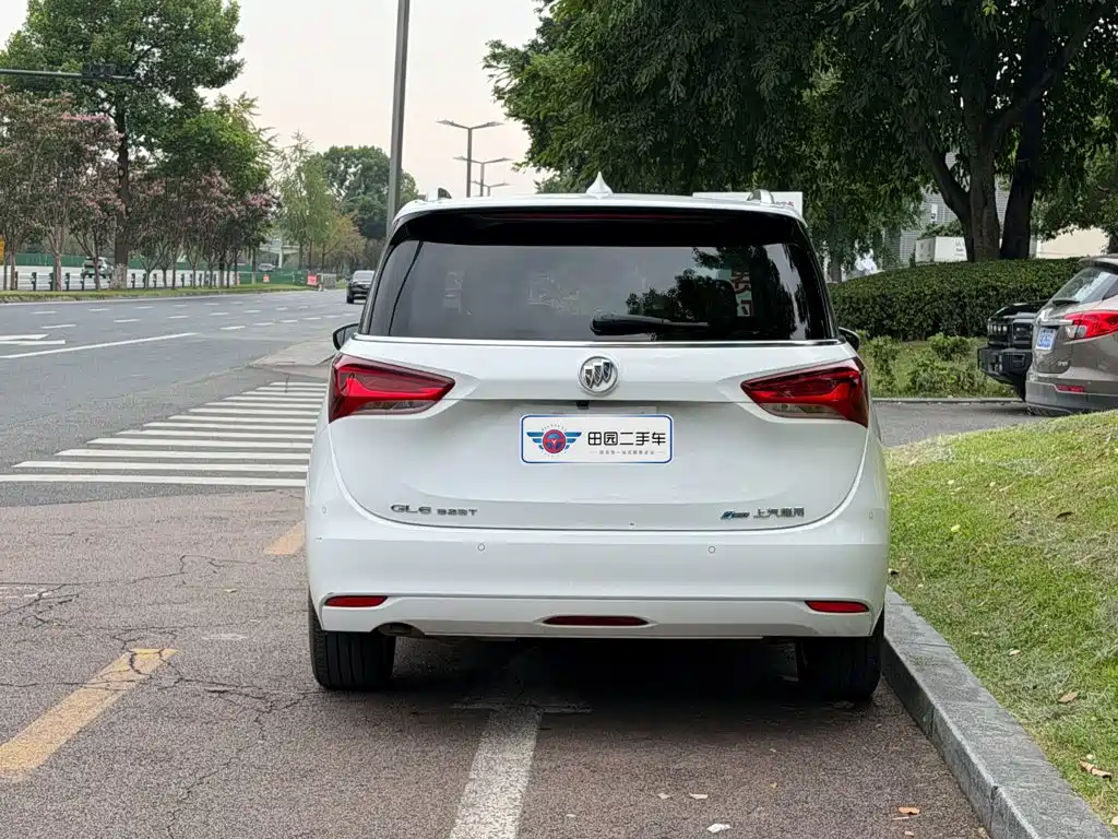Buick GL6 — миниатюра 5