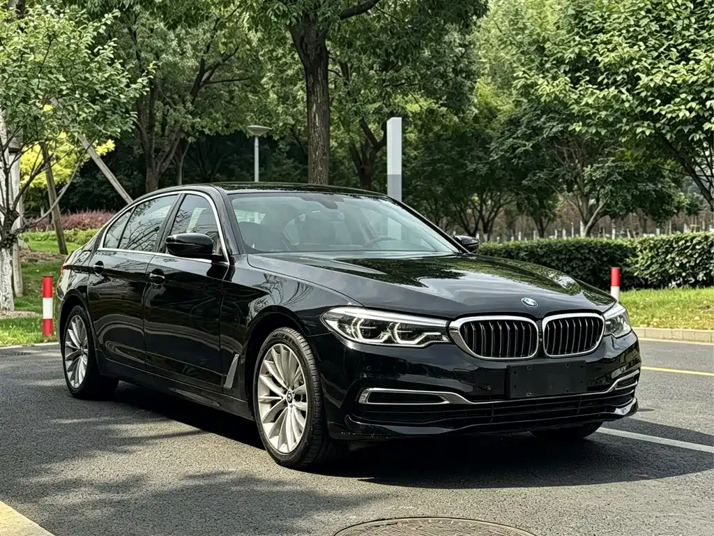 BMW 5 Series — миниатюра 3