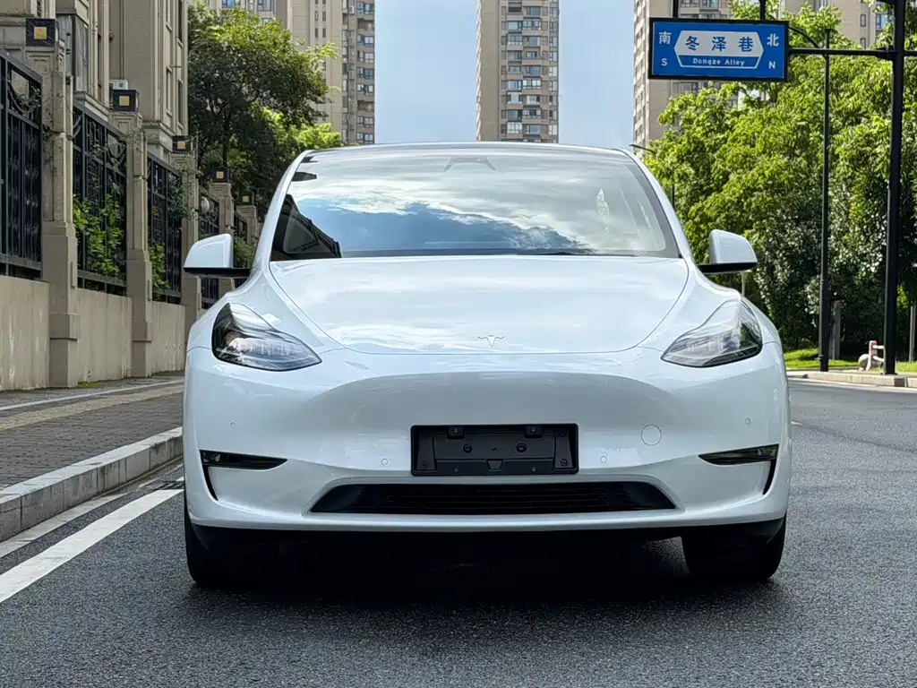 Tesla Model Y — миниатюра 2
