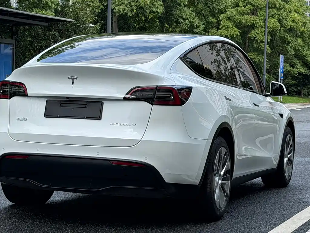 Tesla Model Y — миниатюра 15