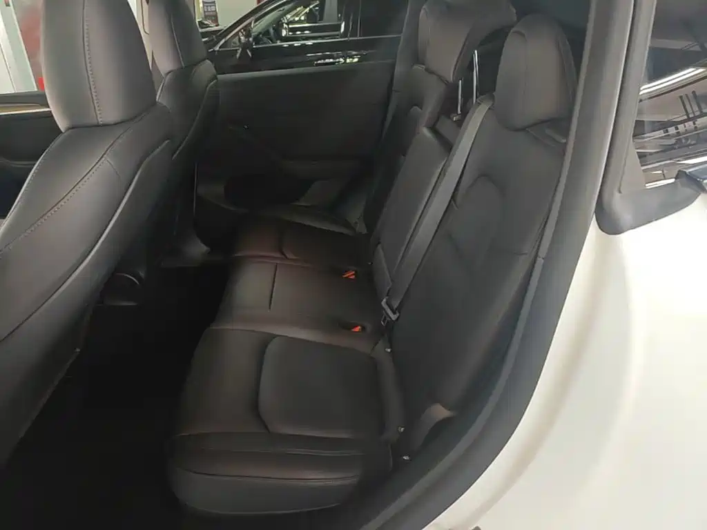 Tesla Model Y — миниатюра 17