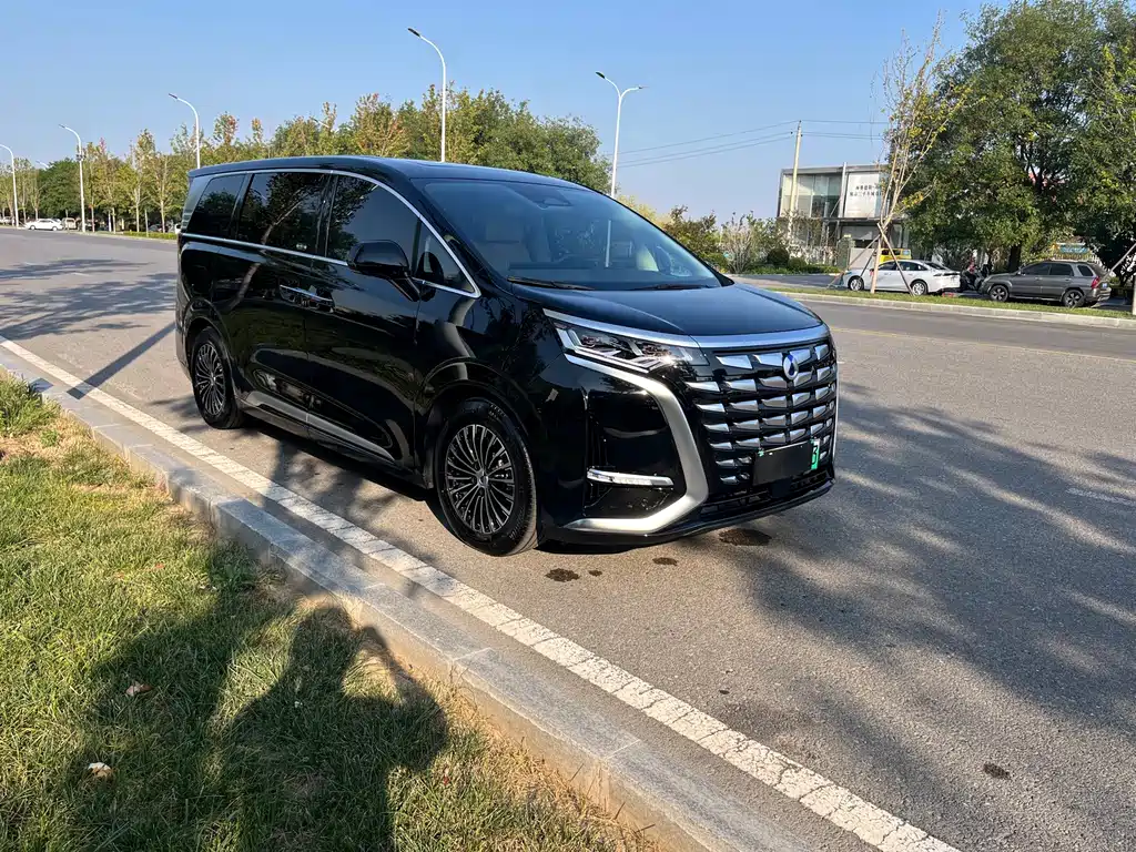 Denza Denza D9 — миниатюра 3