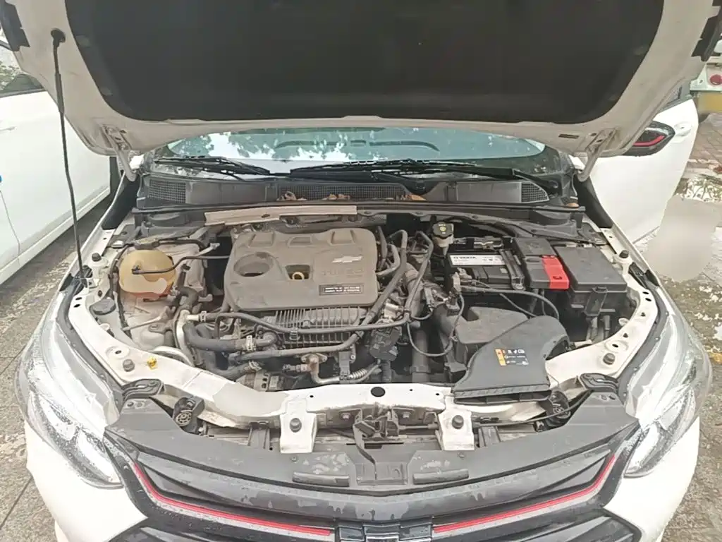 Chevrolet Cavalier — миниатюра 20