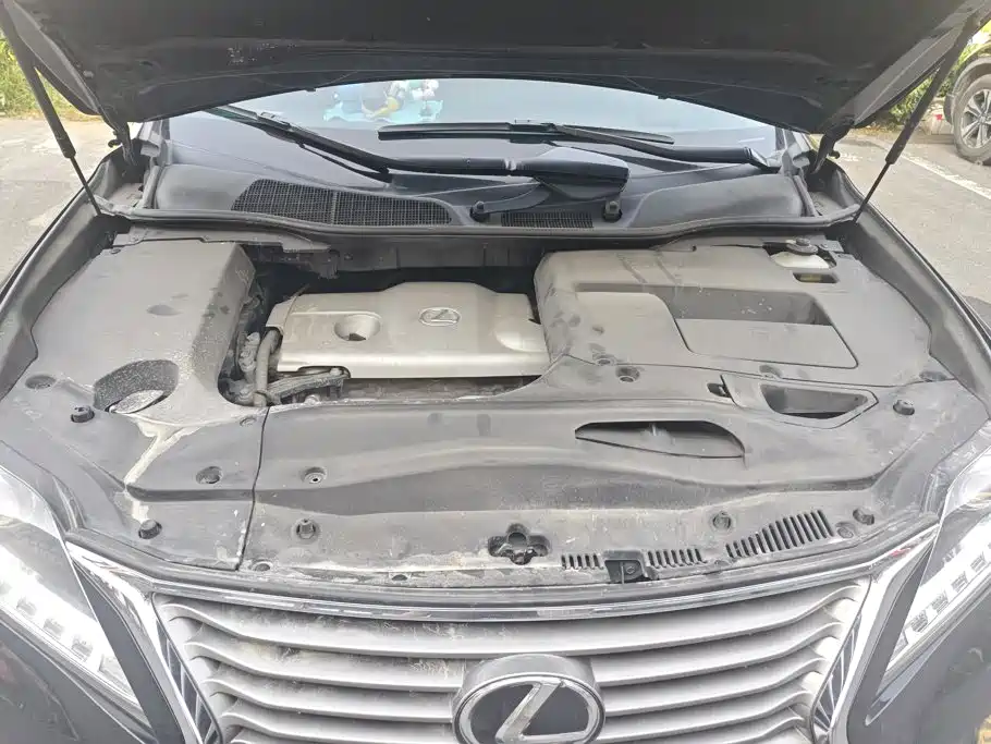 Lexus RX Classic — миниатюра 10