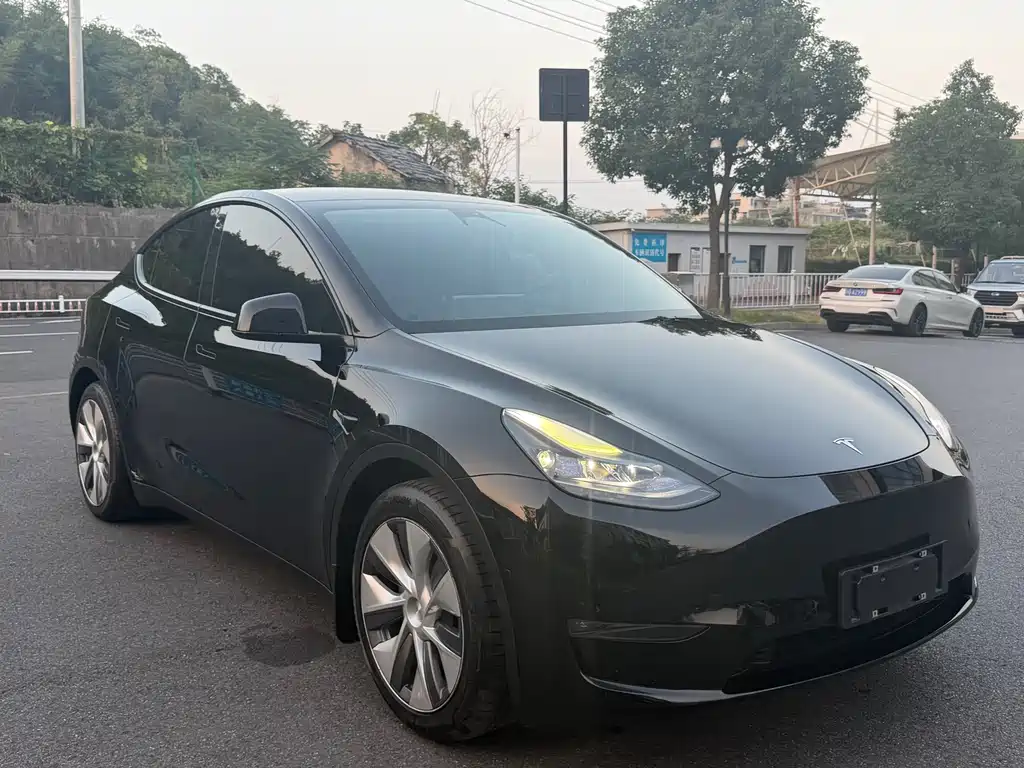 Tesla Model Y — миниатюра 3
