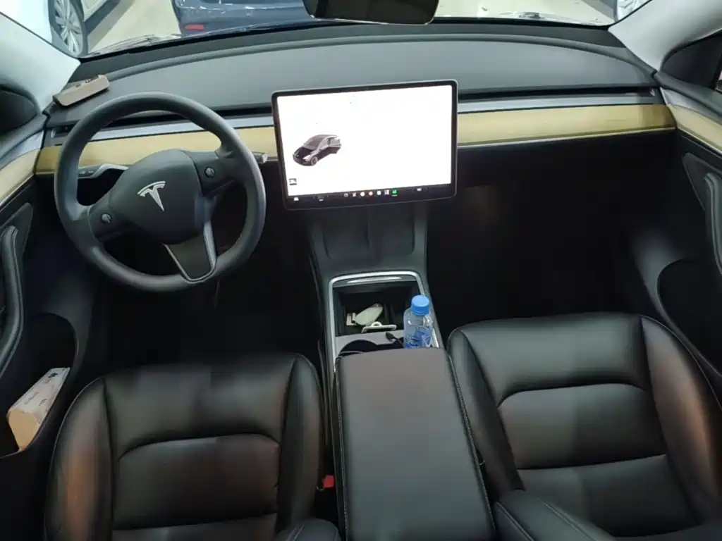 Tesla Model Y — миниатюра 10