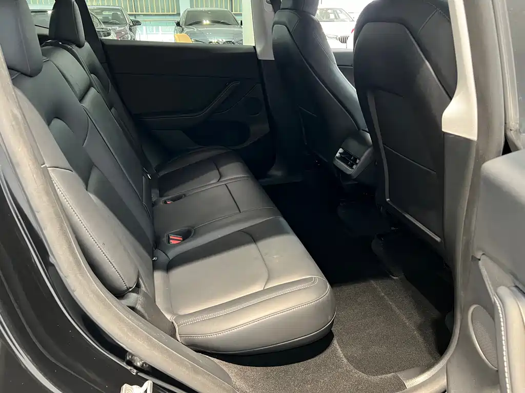 Tesla Model Y — миниатюра 10