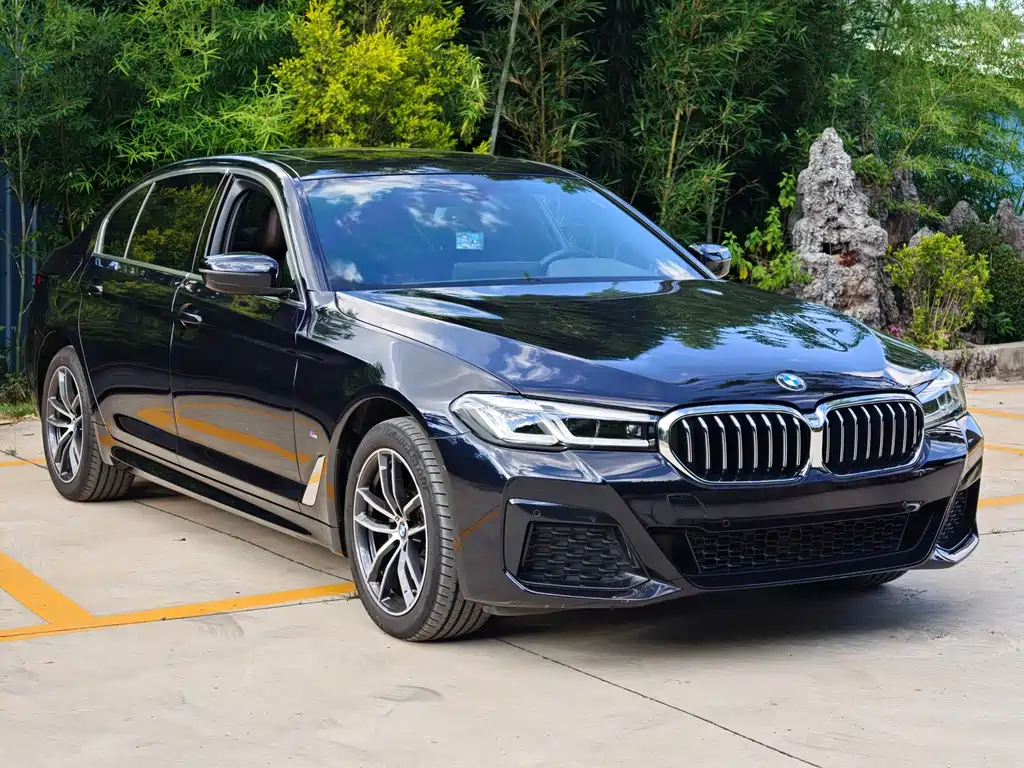 BMW 5 Series — миниатюра 3