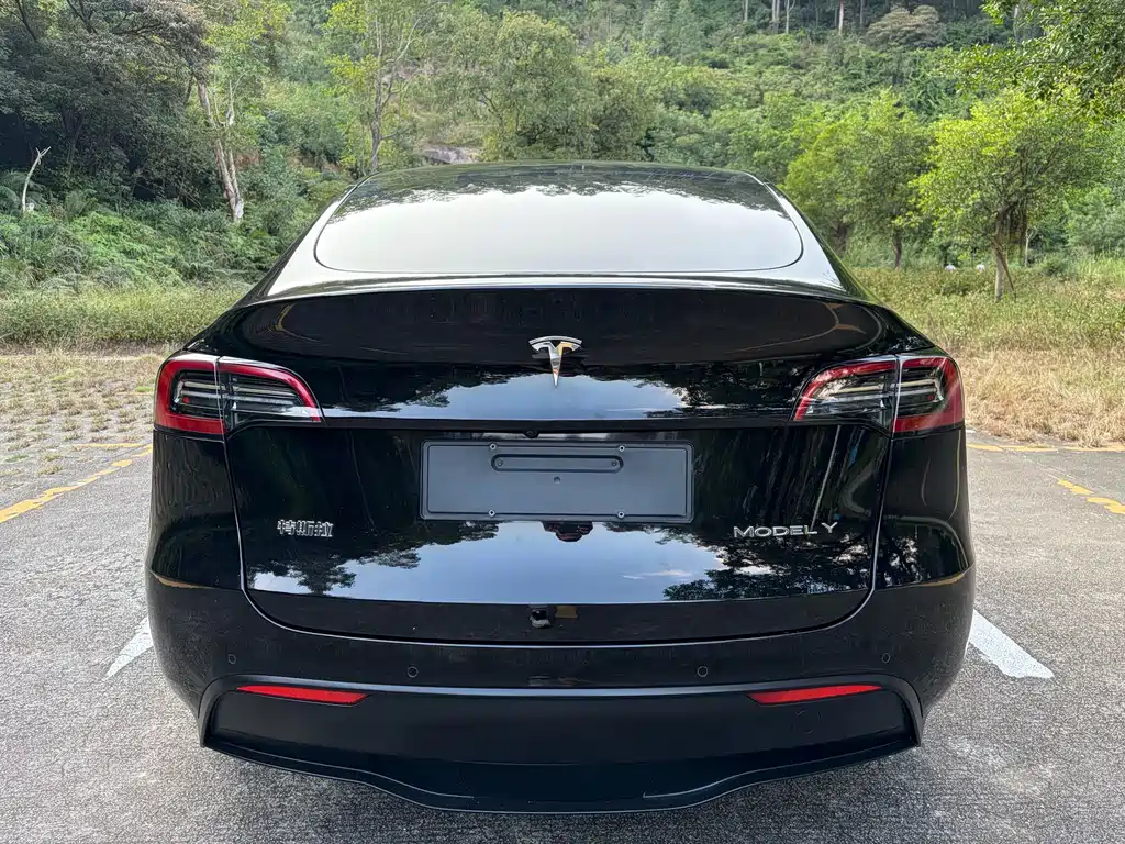 Tesla Model Y — миниатюра 8