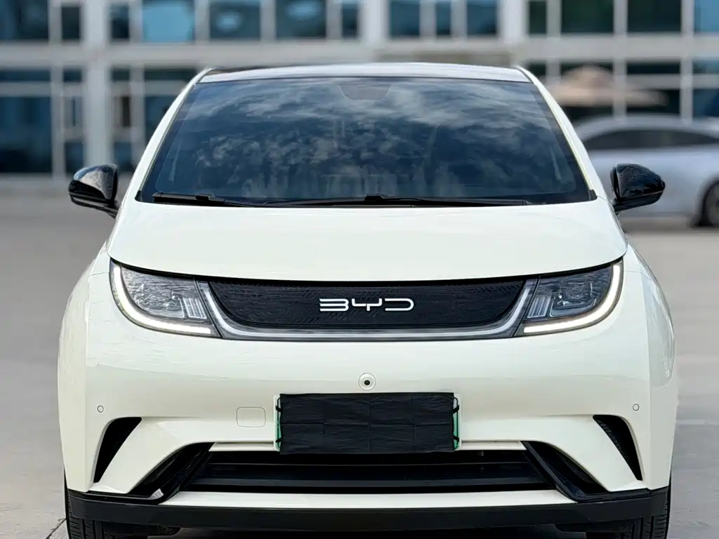 BYD Dolphin — миниатюра 3