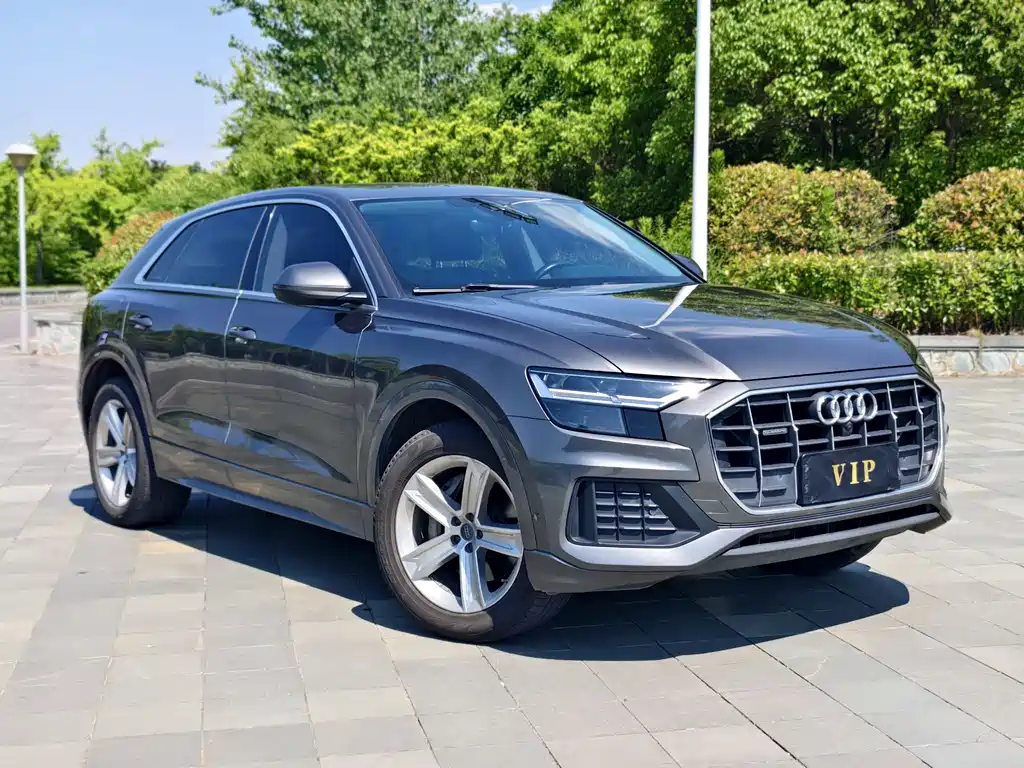 Audi Q8 2019 45 TFSI Luxury
