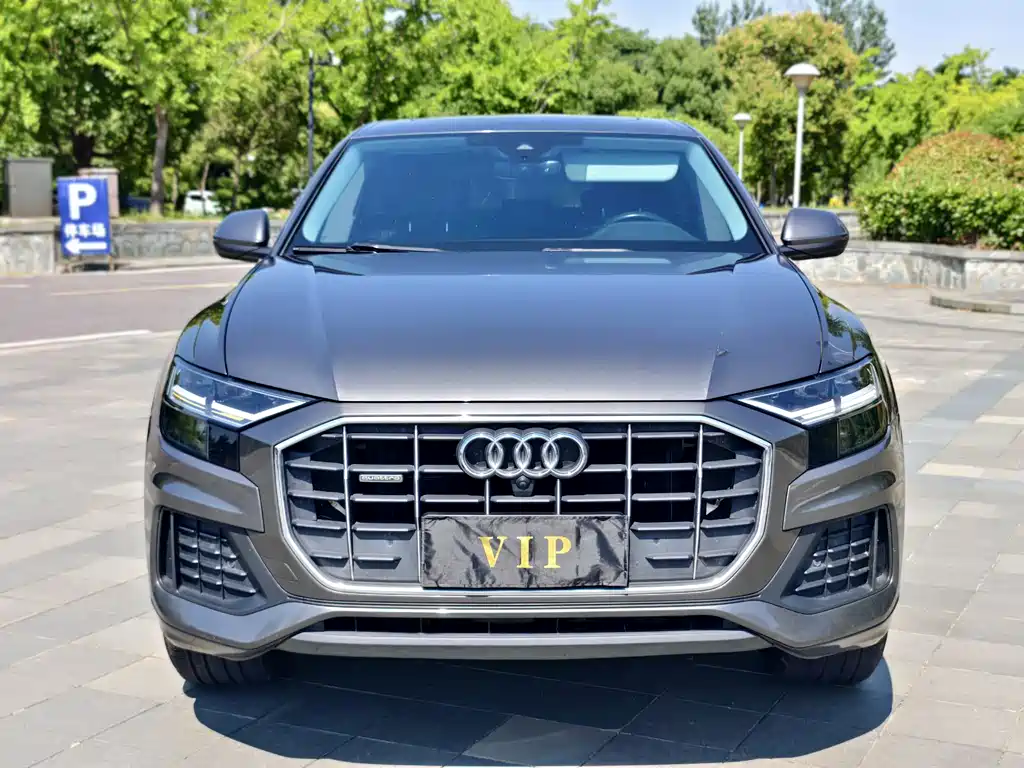 Audi Q8 2019 45 TFSI Luxury