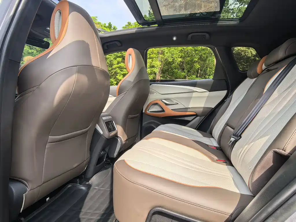 BYD Pro New Energy — миниатюра 11