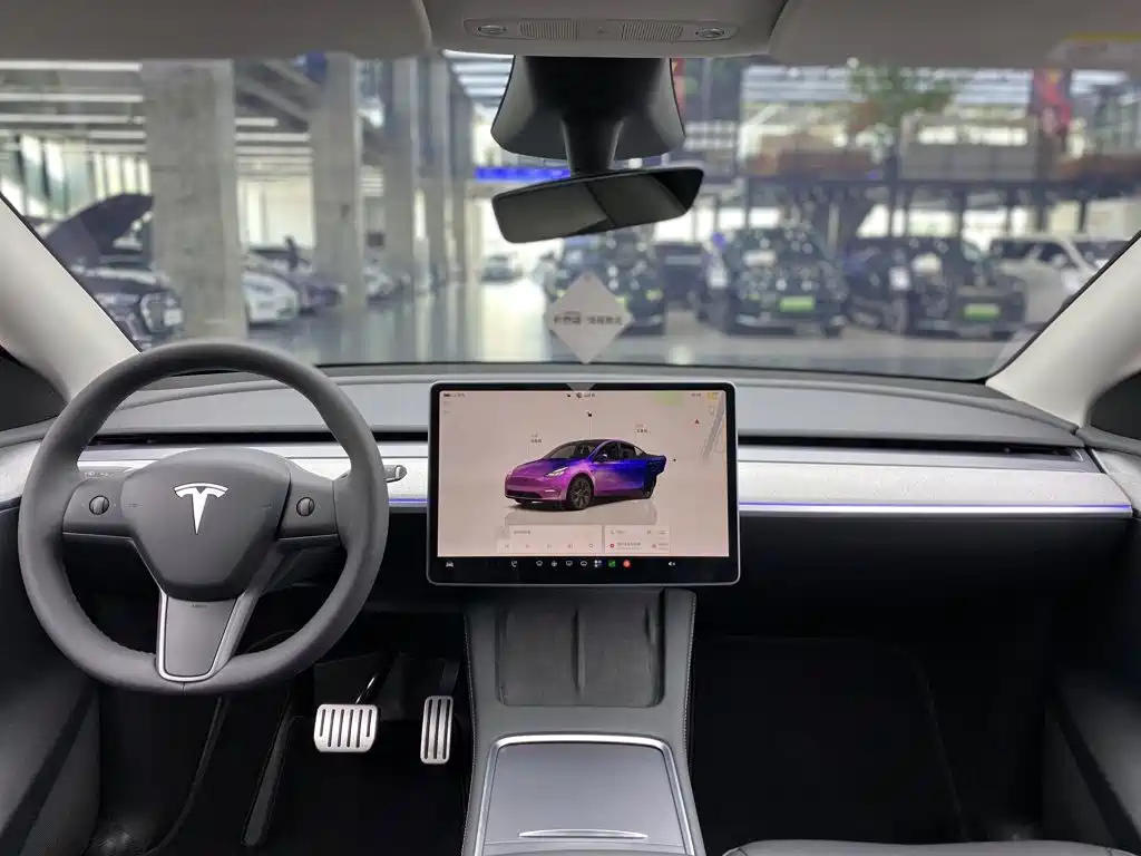 Tesla Model Y — миниатюра 9