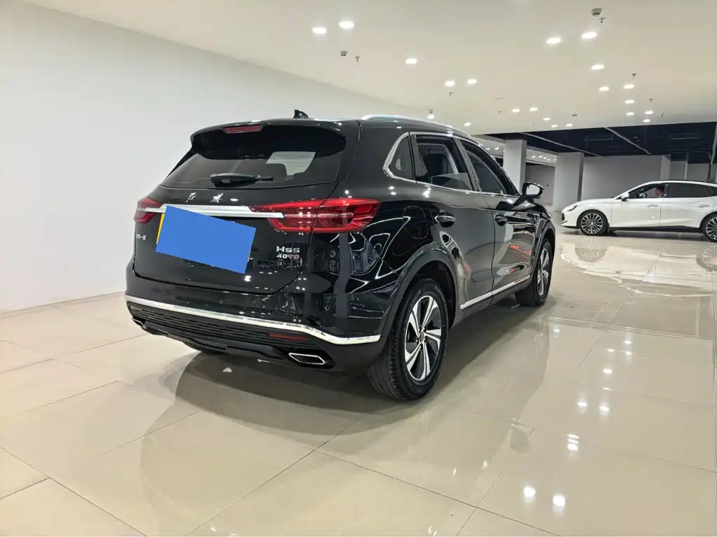Hongqi Hongqi HS5 — миниатюра 6