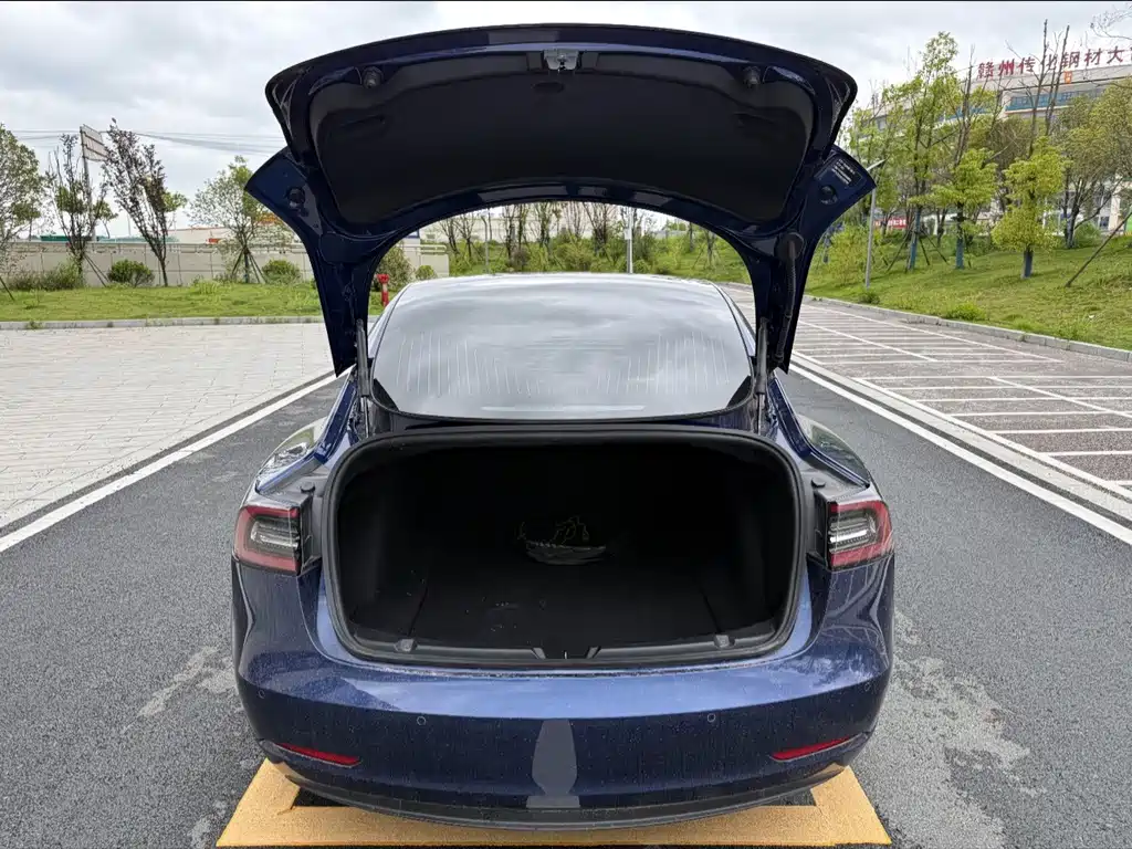 Tesla Model 3 — миниатюра 10