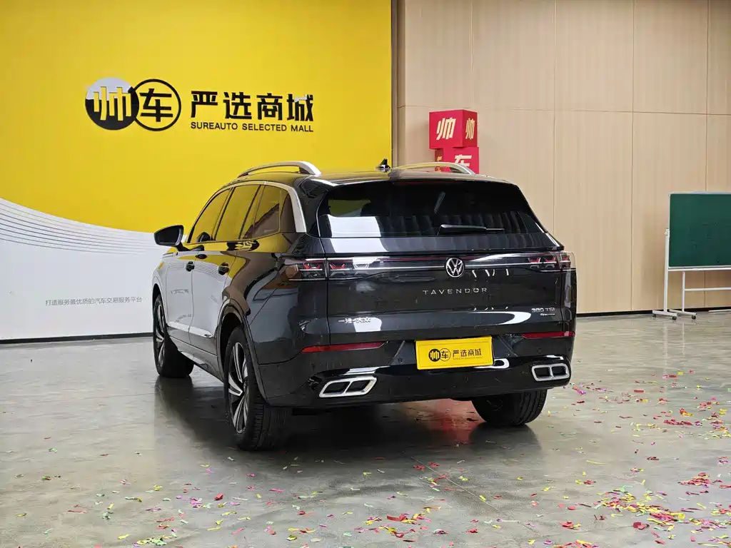 Volkswagen Tavendor — миниатюра 5