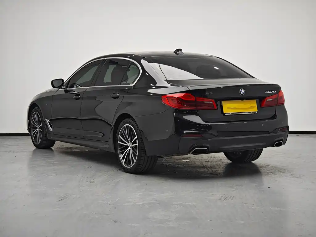 BMW 5 Series — миниатюра 4