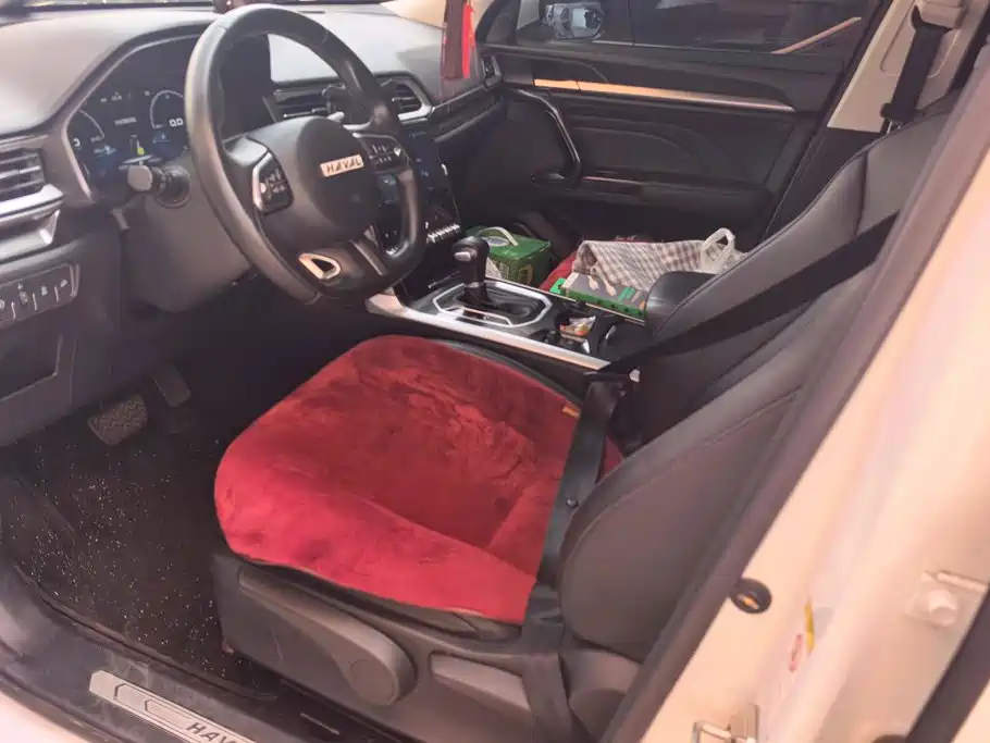Haval F5 — миниатюра 9