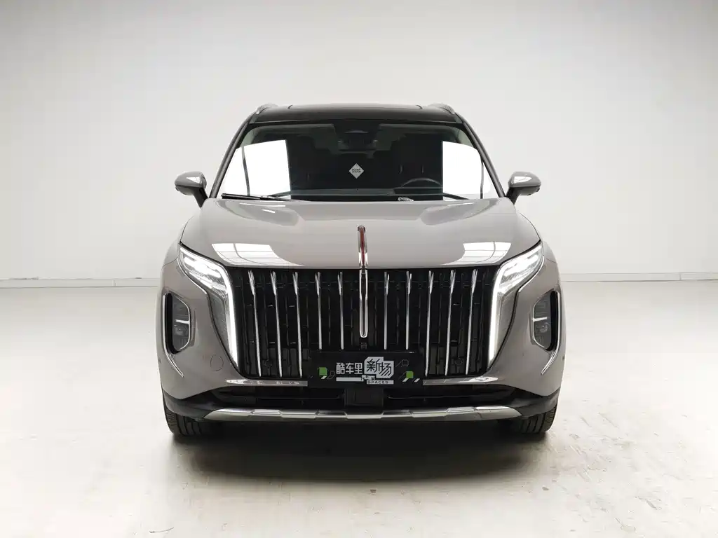 Hongqi Hongqi HS7 — миниатюра 2