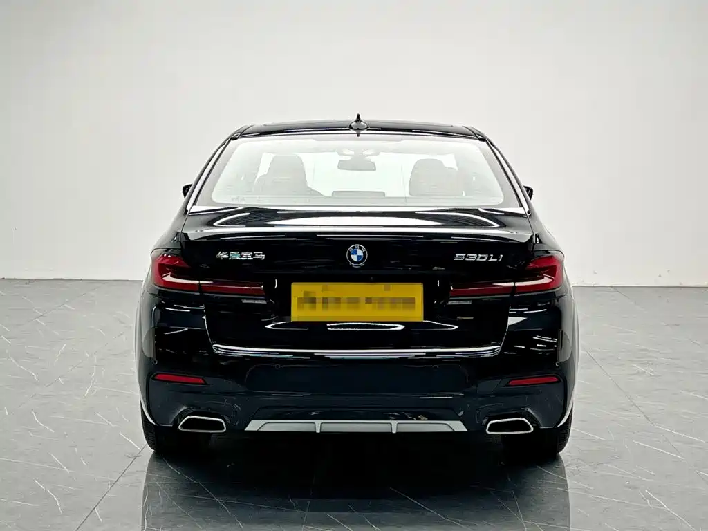 BMW 5 Series — миниатюра 5