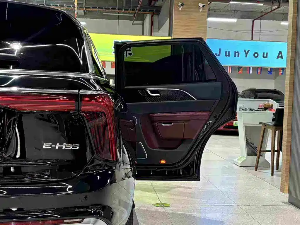 Hongqi Hongqi E-HS9 — миниатюра 17