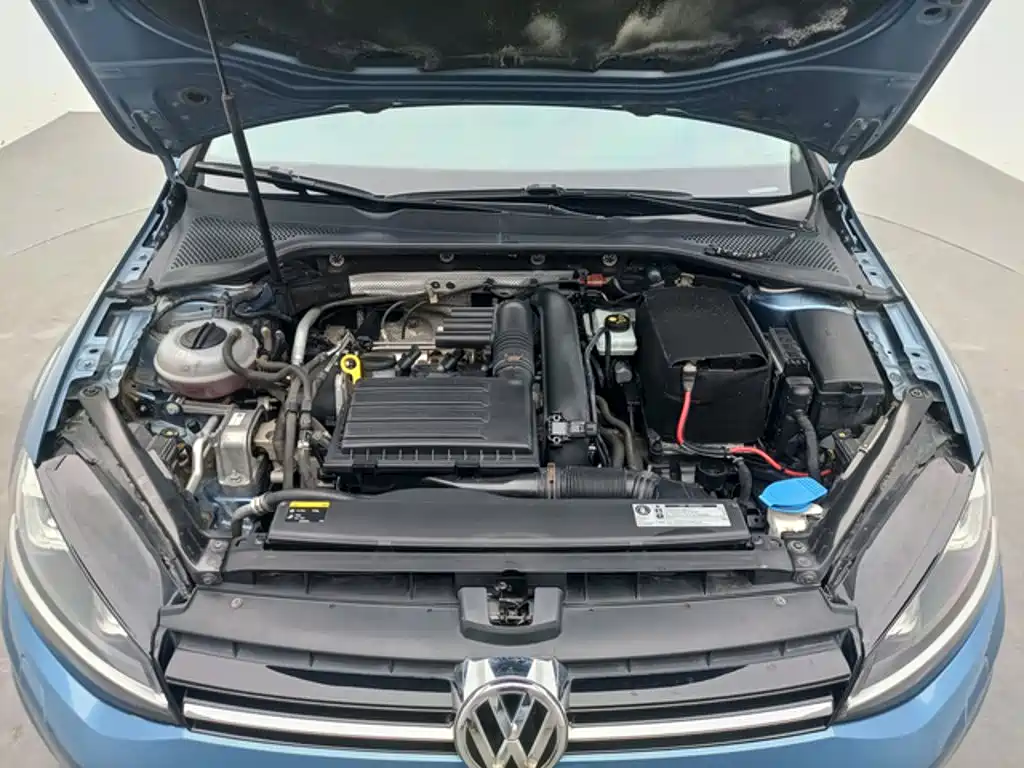 Volkswagen Golf (Import) — миниатюра 8