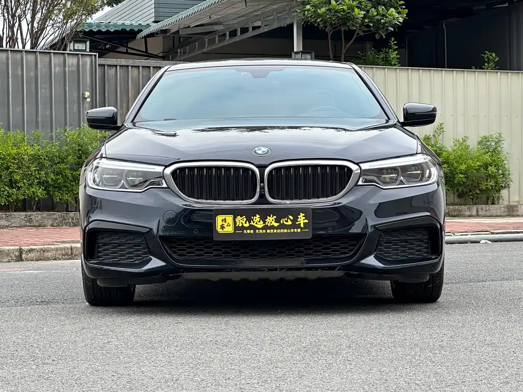 BMW 5 Series 530Li Premium Type M Sport Package, фото 2